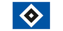 HSV Fußball AG & Co. KGaA